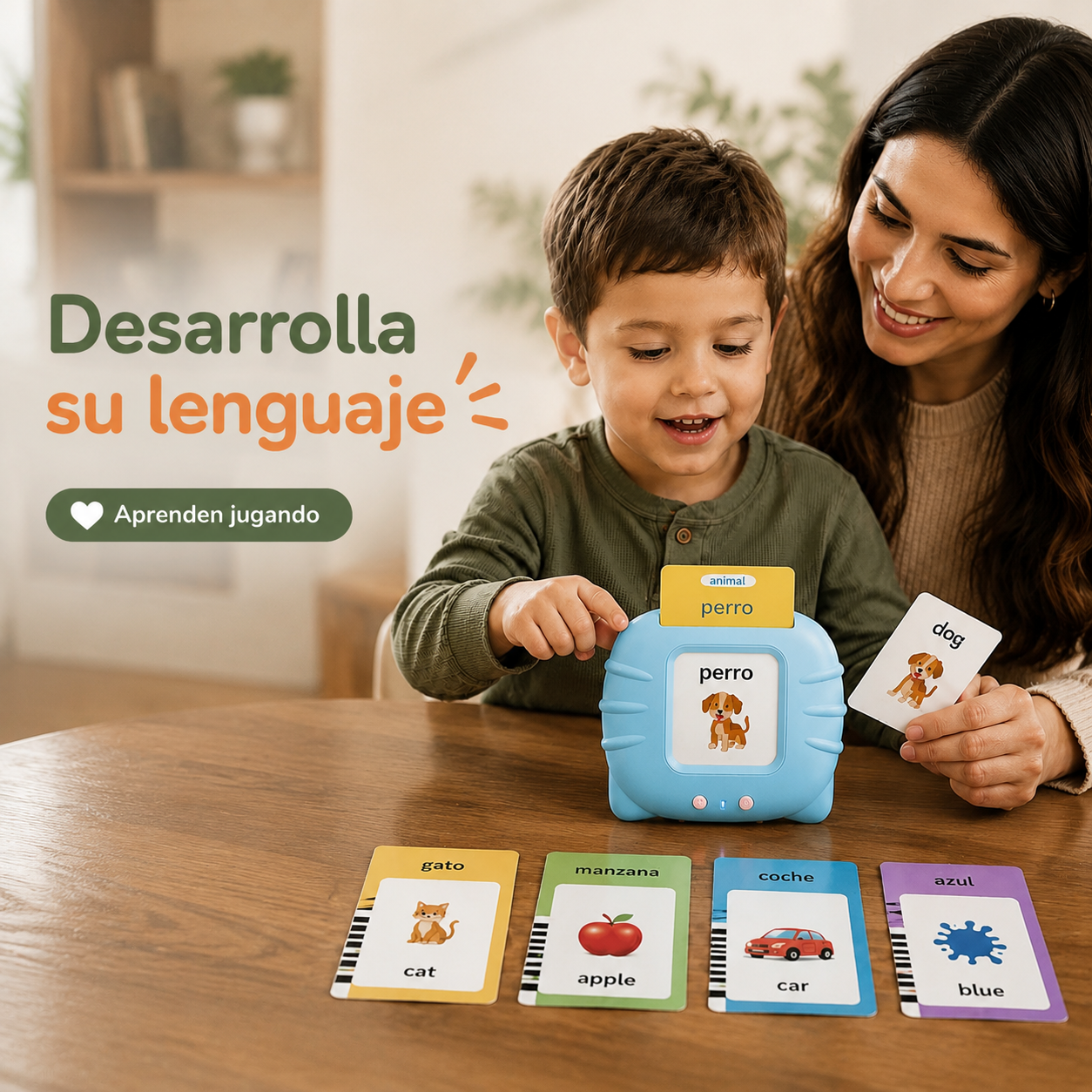 Ludivae – Tarjetas Educativas Bilingües